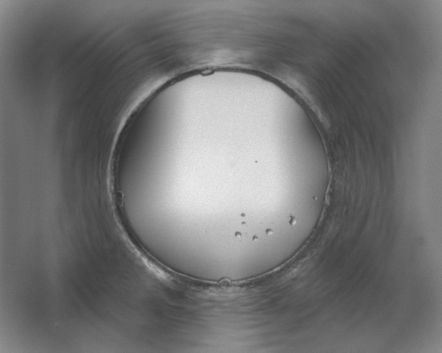 X0000063451285200602101639