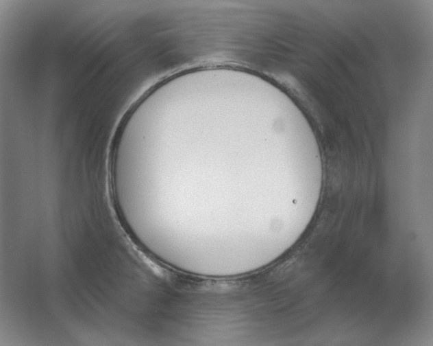 X0000063451286200602101639