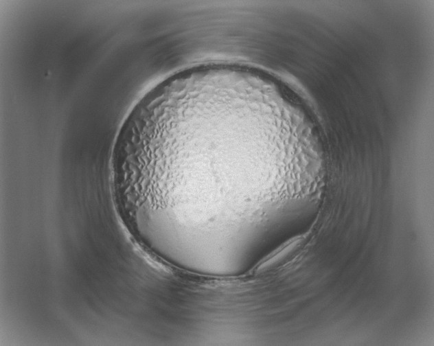 X0000063451287200602101639