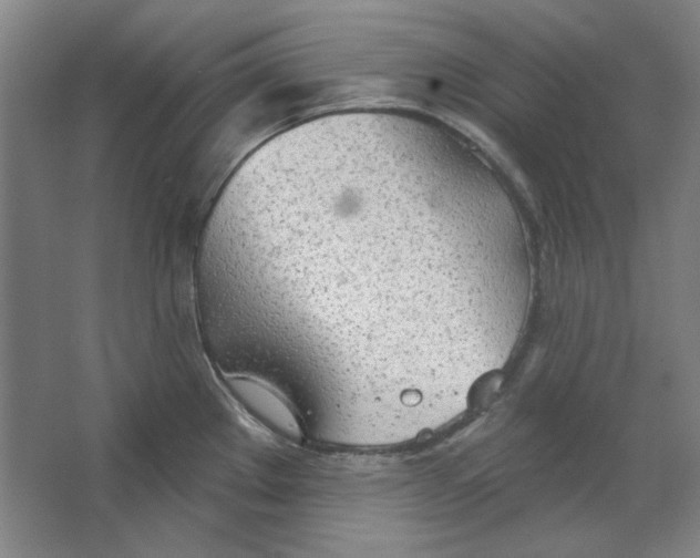 X0000063451289200602101639