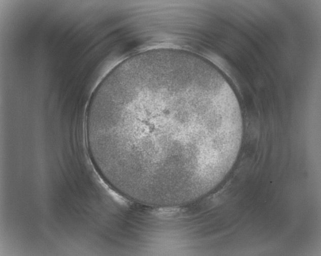 X0000063451290200602101639