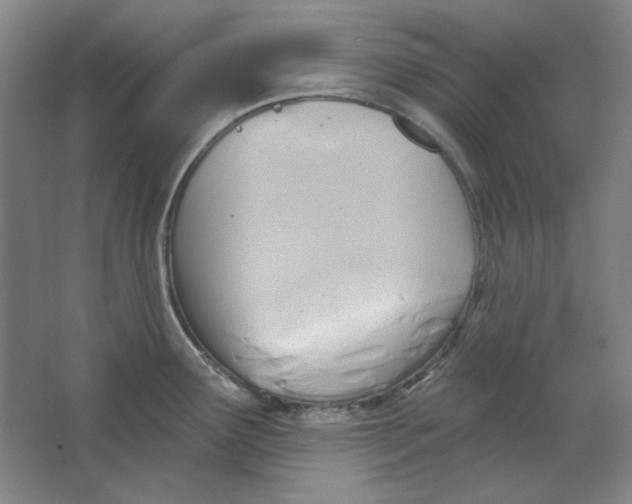 X0000063451291200602101639