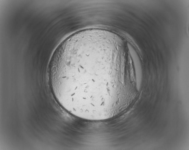 X0000063451292200602101639