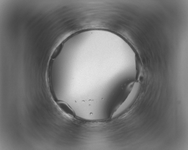 X0000063451293200602101638