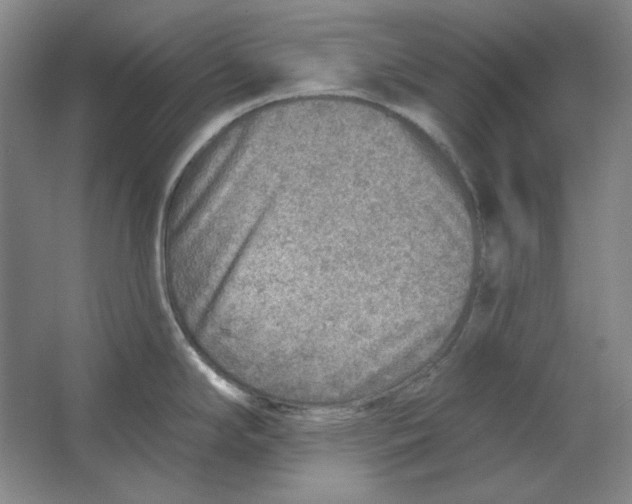 X0000063451294200602101638