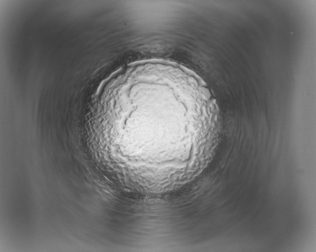 X0000063451297200602101638