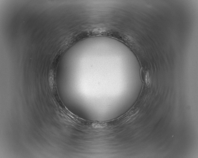 X0000063451299200602101638