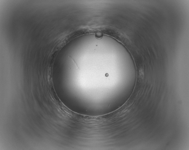 X0000063451300200602101638