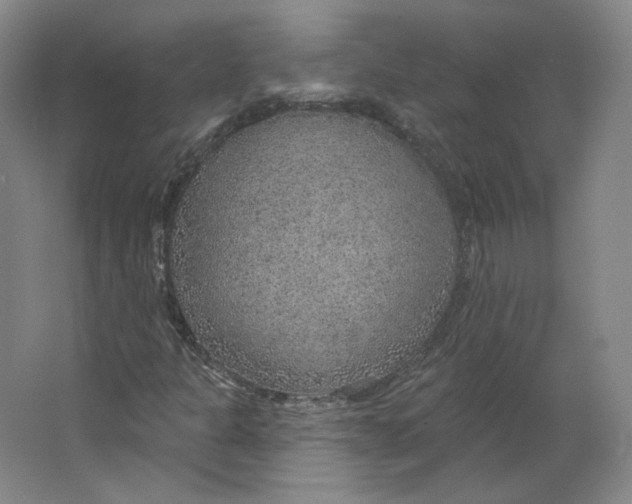 X0000063451301200602101638