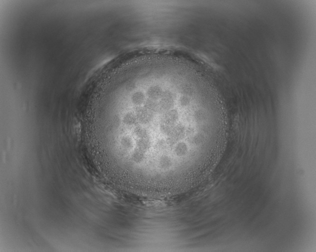 X0000063451302200602101638