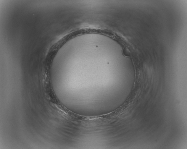 X0000063451303200602101638