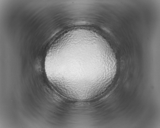 X0000063451305200602101638