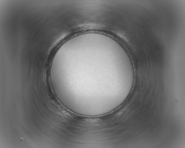 X0000063451309200602101638