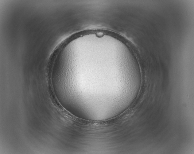 X0000063451311200602101638