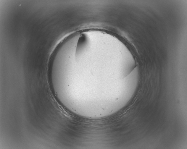 X0000063451312200602101638