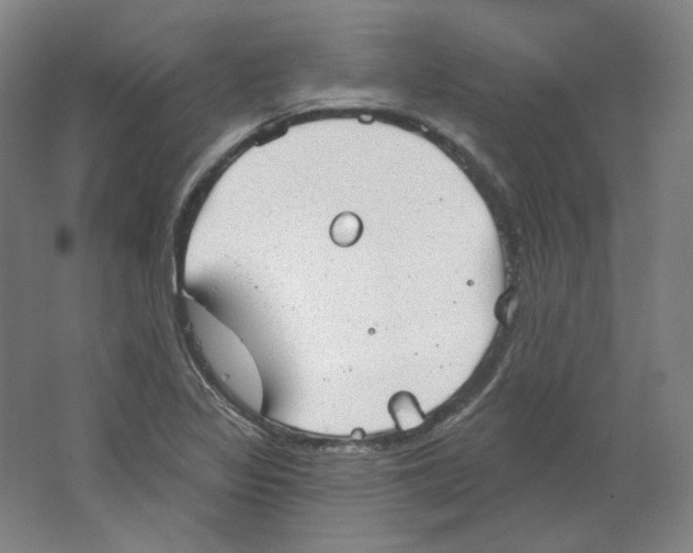 X0000063451317200602101638