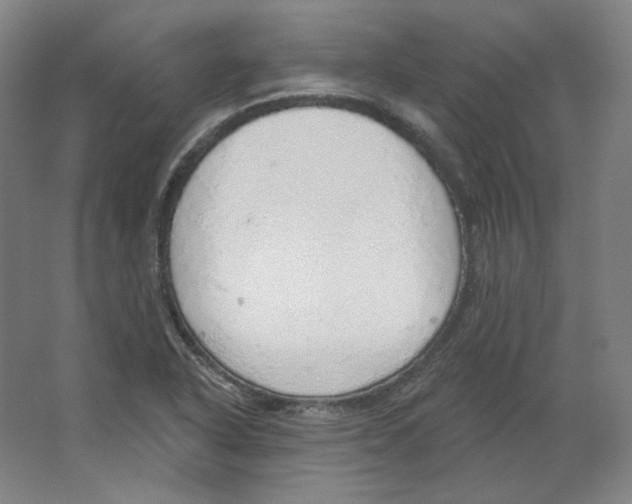 X0000063451318200602101638