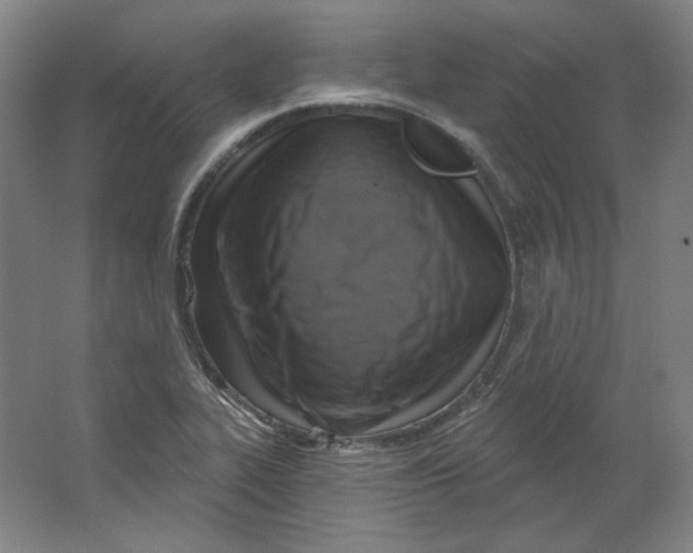 X0000063451319200602101638