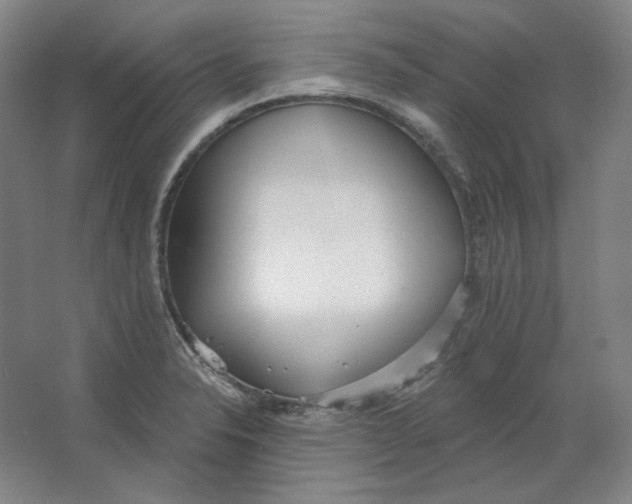 X0000063451326200602101638