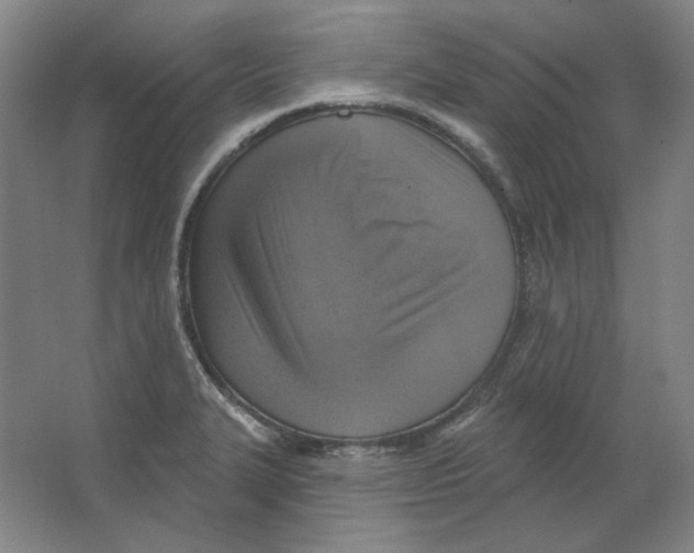 X0000063451327200602101638