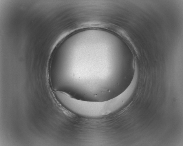 X0000063451328200602101638