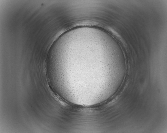 X0000063451329200602101638