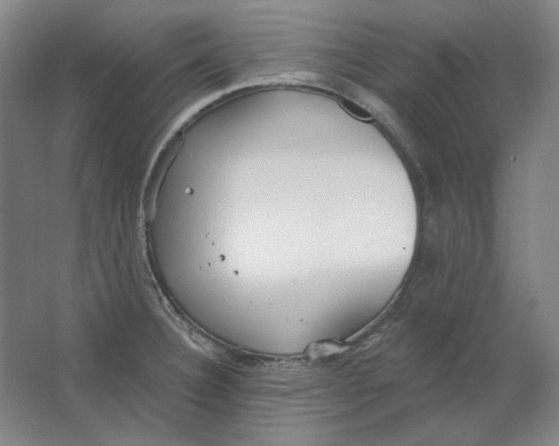 X0000063451332200602101638