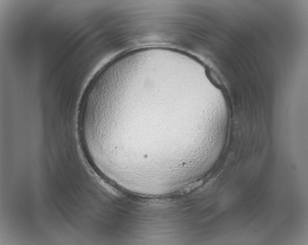 X0000063451333200602101638