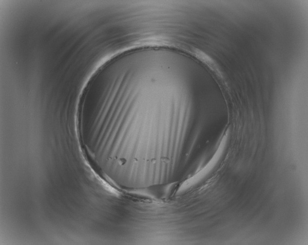 X0000063451334200602101638