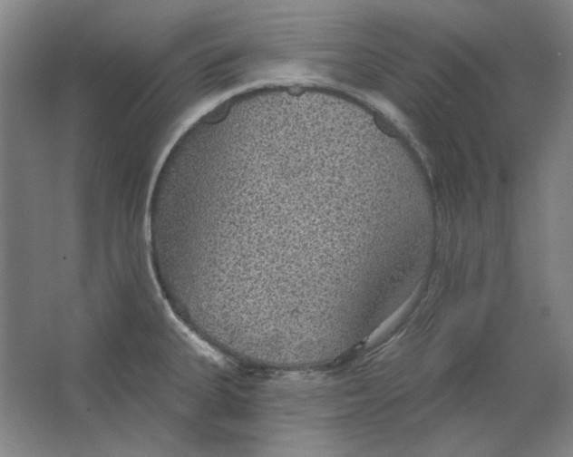 X0000063451335200602101638