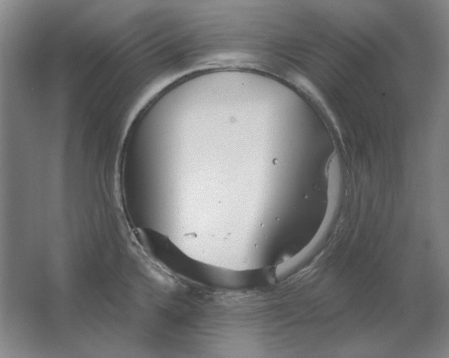 X0000063451336200602101638