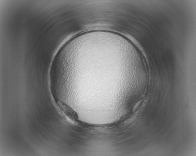 X0000063451341200602101638