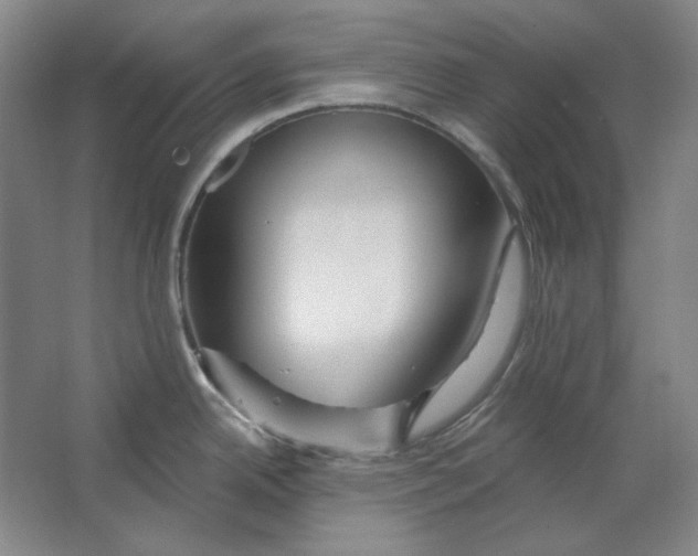 X0000063451342200602101638