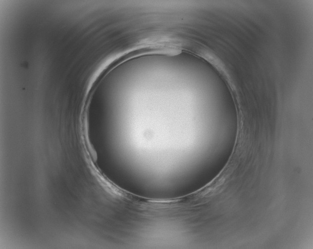 X0000063451344200602101638