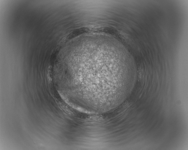 X0000063451346200602101638