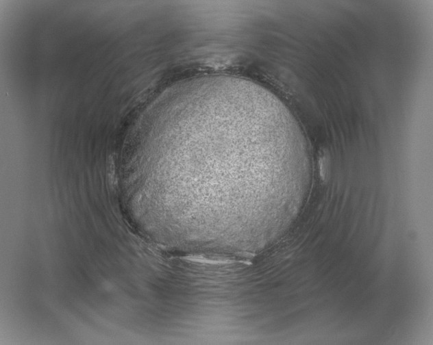 X0000063451347200602101638