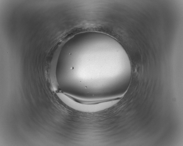 X0000063451348200602101638