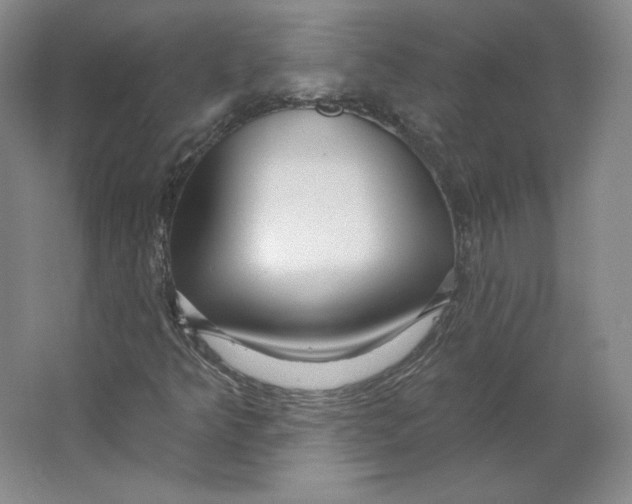 X0000063451349200602101638