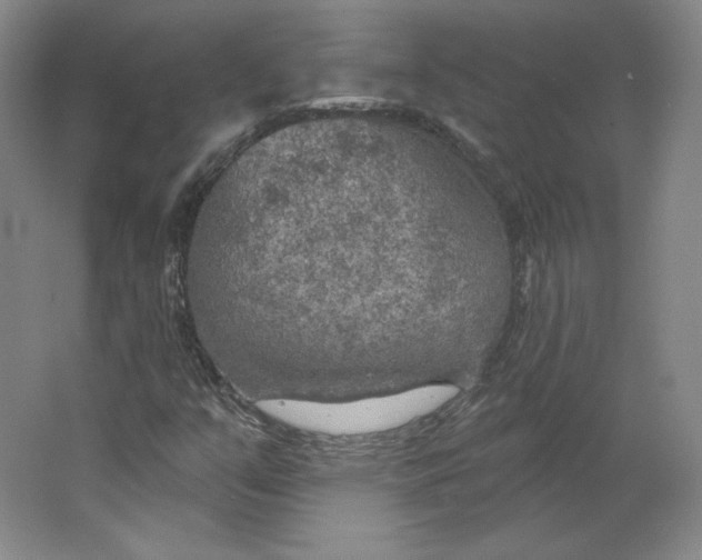 X0000063451351200602101638