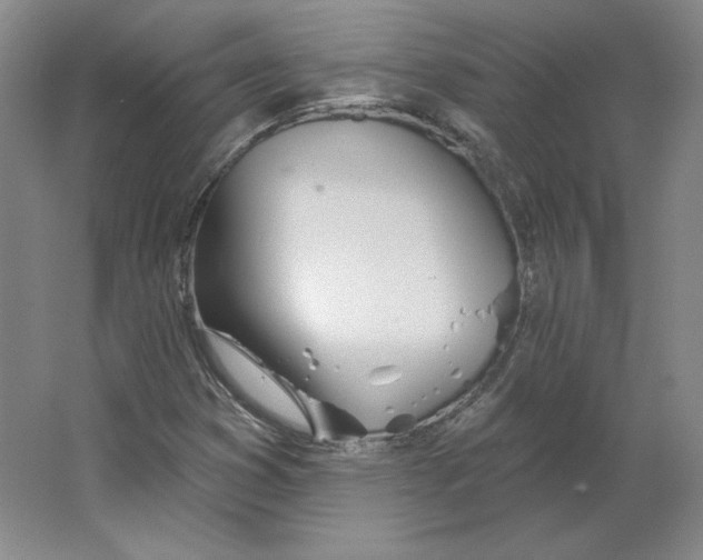 X0000063451353200602101637