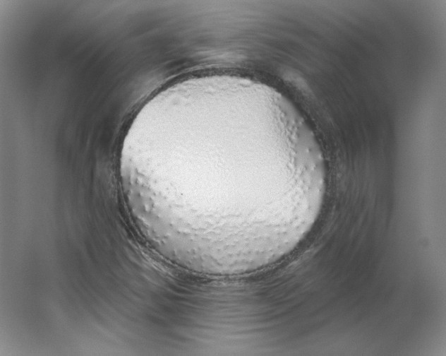 X0000063451354200602101637