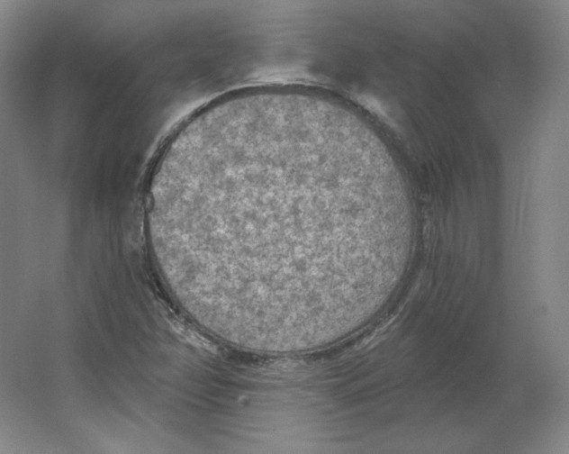 X0000063451358200602101637