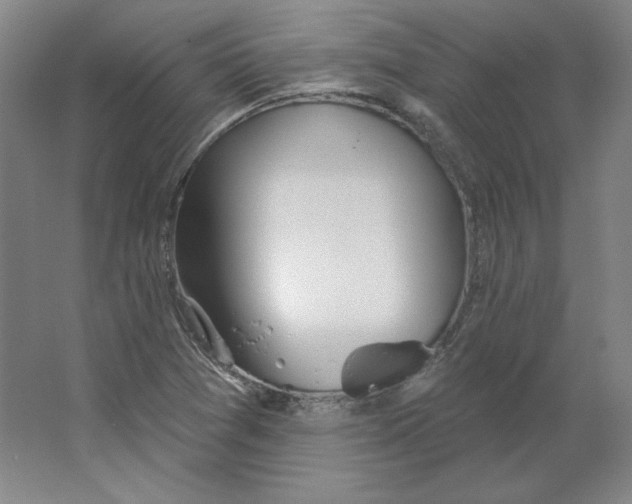 X0000063451361200602101637