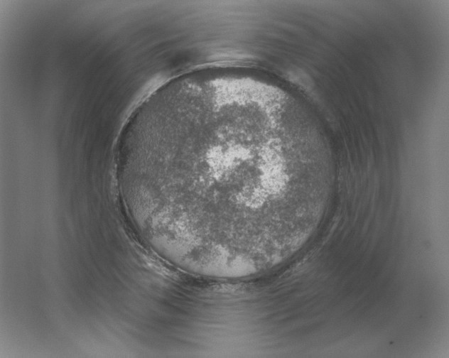 X0000063451362200602101637