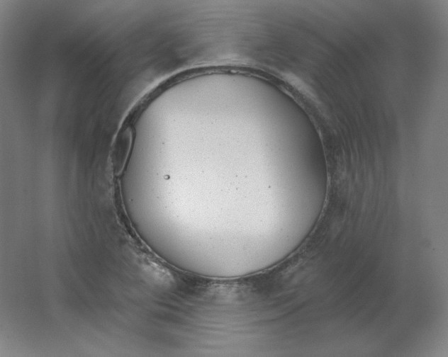 X0000063451364200602101637