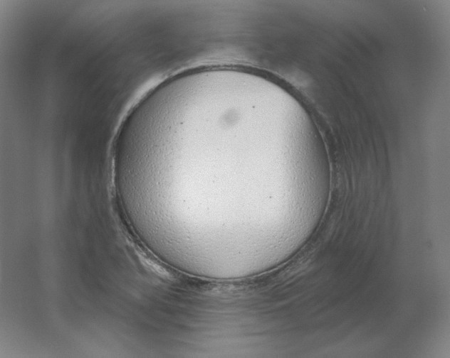 X0000063451366200602101637