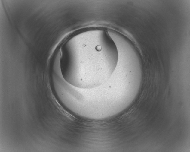 X0000063451368200602101637