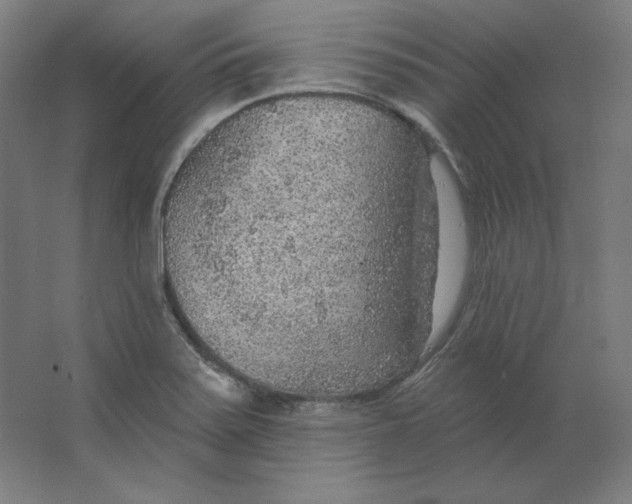 X0000063451371200602101637