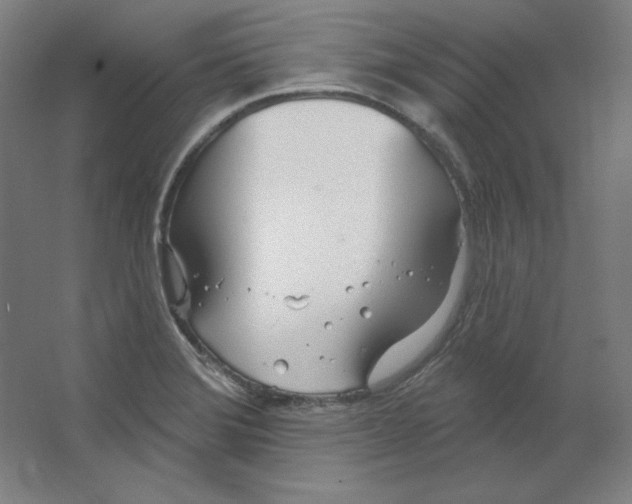 X0000063451372200602101637