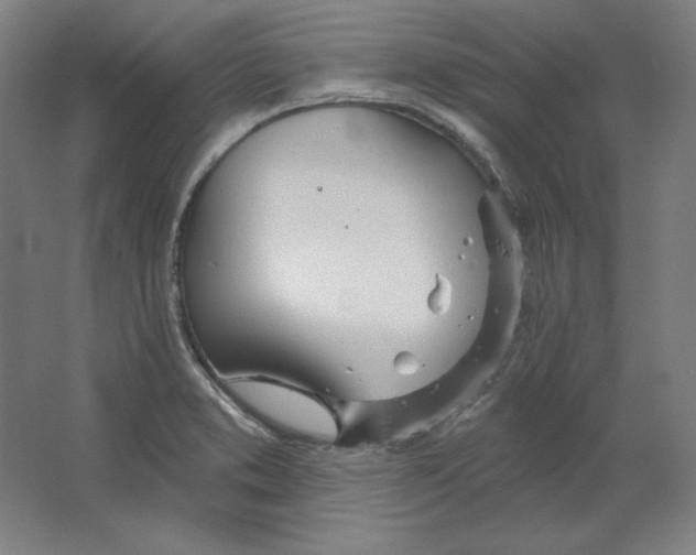 X0000063451373200602101637